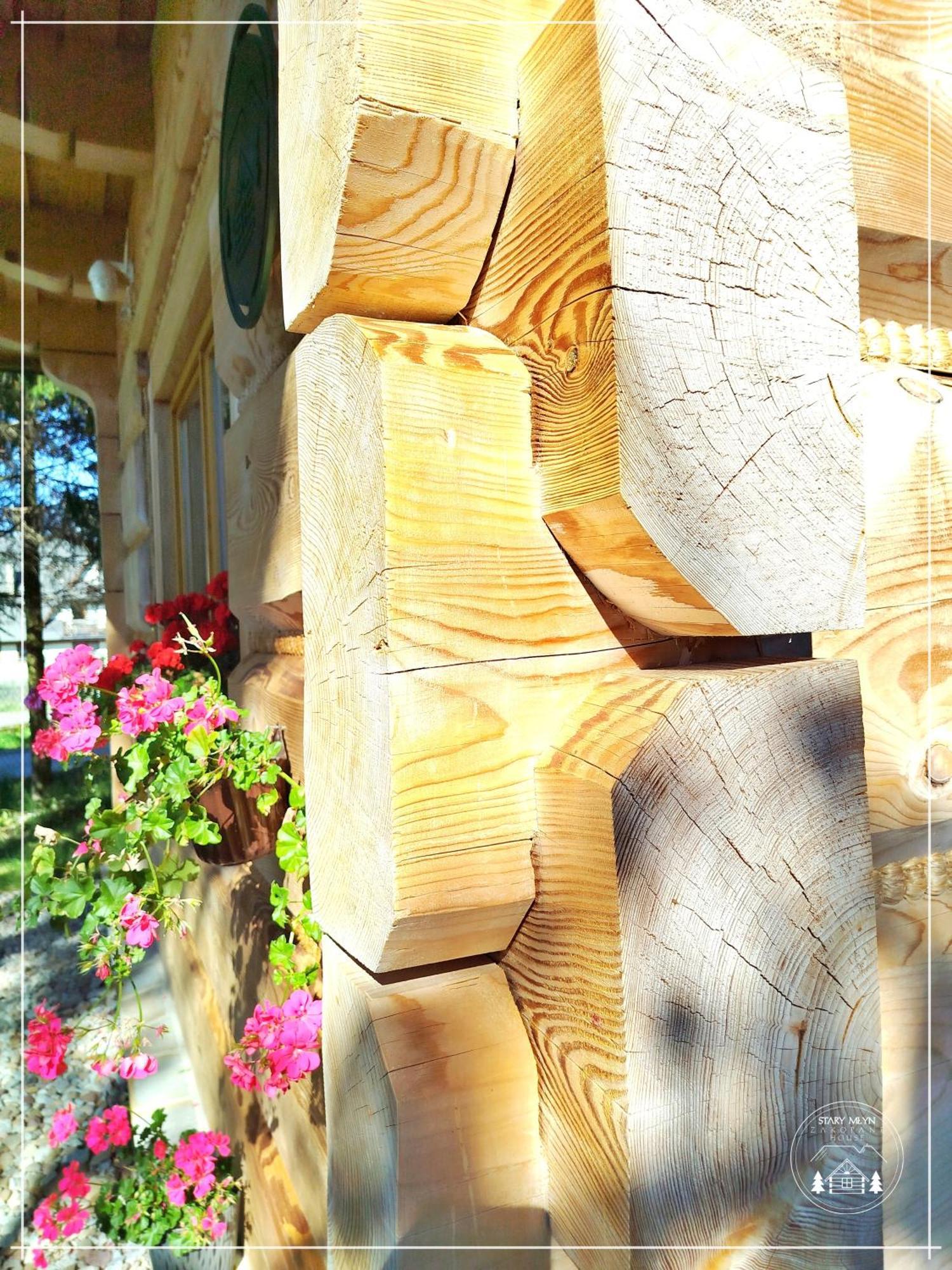 Domek Góralski Stary Młyn Zakopane House Zewnętrze zdjęcie